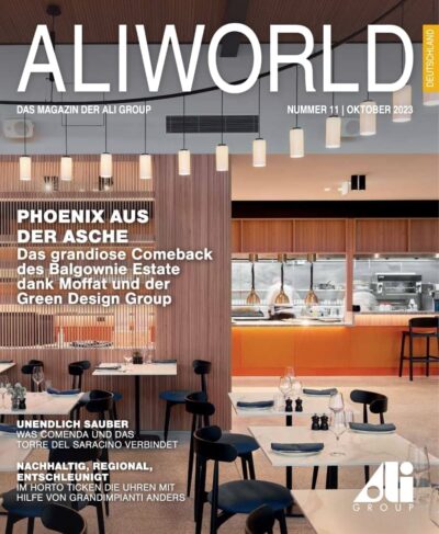 cover of issue11 aliworld international in german