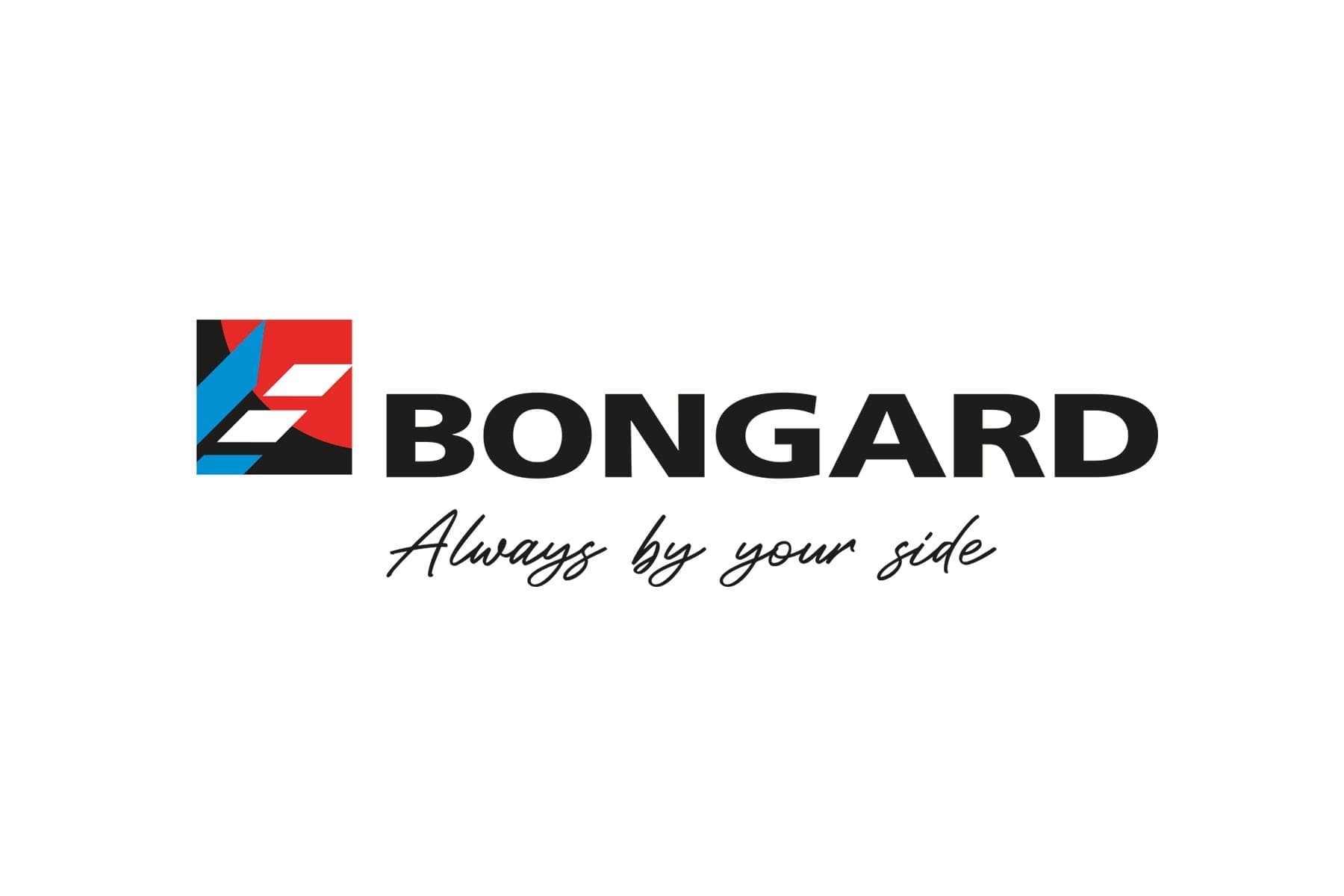 image of Bongard logo.